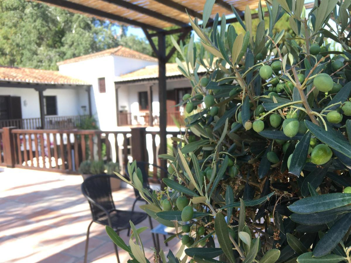 El Molino Estepona Eksteriør billede