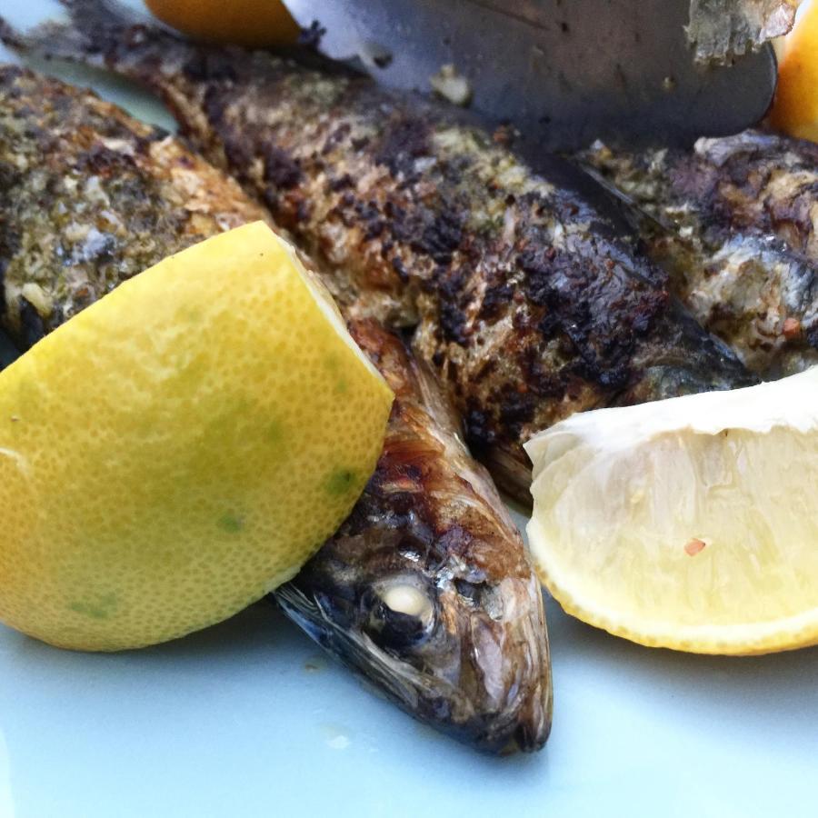 El Molino Estepona Eksteriør billede